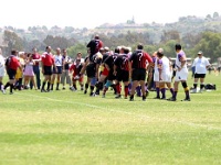 AM NA USA CA SanDiego 2005MAY18 GO v ColoradoOlPokes 057 : 2005, 2005 San Diego Golden Oldies, Americas, California, Colorado Ol Pokes, Date, Golden Oldies Rugby Union, May, Month, North America, Places, Rugby Union, San Diego, Sports, Teams, USA, Year